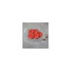 Bouton Corozo Palm Atelier Brunette - Tangerine