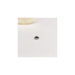 Bouton métal Odo 8 mm - argent
