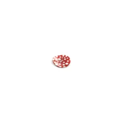 Bouton Nacre à pois blancs sur fond rouge