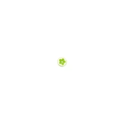 Bouton Polyester Alamandra vert clair