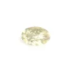 Bouton polyester CAMO D