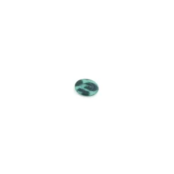 Bouton Polyester Imprimé animal vert