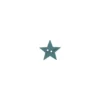 Bouton polyester Étoile turquoise