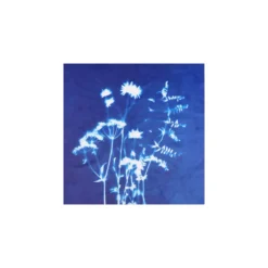 Carré velours ras Cyanotype