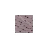 Cordon Star prune delicate B