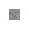 Cordon Star violet sage B