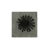 Coupon 150 cm x 156 cm Tissu tulle brodé Daisy 3D - noir