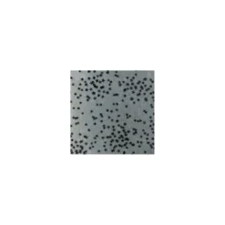 Coupon 100 cm x 135 cm Tissu tulle floqué haute qualité étoile - noir