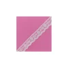 Dentelle Rachel B (3 coloris)