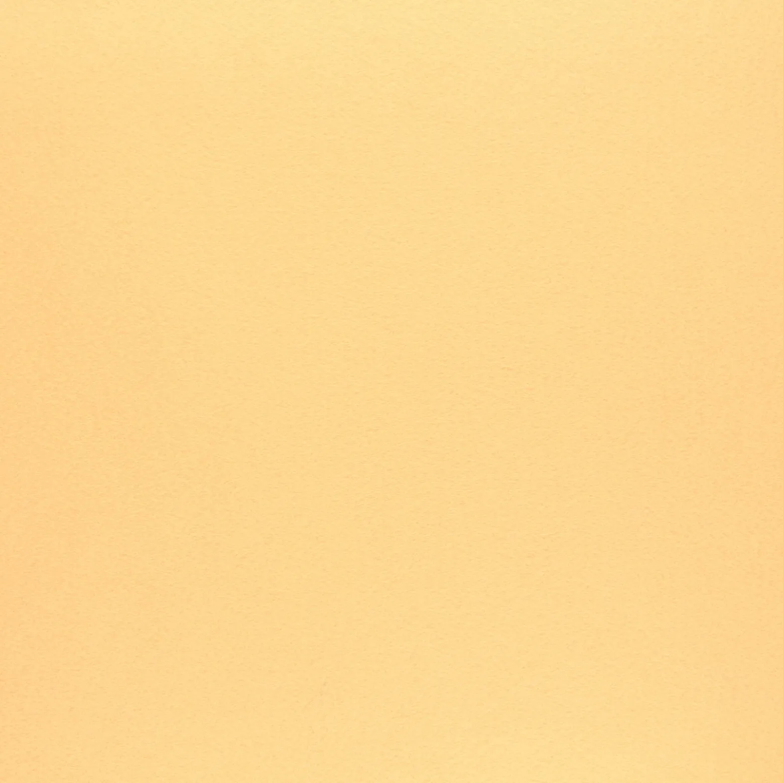 Feutrine de laine beige