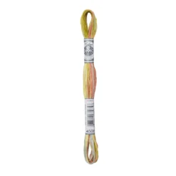 Fil mouliné à broder DMC Coloris - 8m - 4508