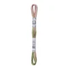 Fil mouliné à broder DMC Coloris - 8m - 4500