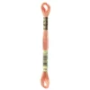 Fil mouliné à broder DMC - 8m - 758 - aube rose