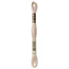 Fil mouliné à broder DMC - 8m - 543 - coquillage