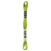 Fil mouliné à broder DMC - 8m - 907 - granny smith