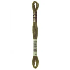 Fil mouliné à broder DMC - 8m - 730 - kaki