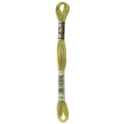 Fil mouliné à broder DMC - 8m - 734 -olive cassée