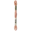 Fil mouliné à broder DMC - 8m - 3771 - sable rose