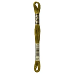 Fil mouliné à broder DMC - 8m - 831 - vert bronze
