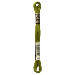 Fil mouliné à broder DMC - 8m - 580 - vert cactus