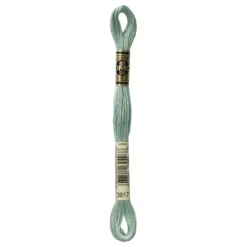 Fil mouliné à broder DMC - 8m - 3817 - vert peuplier