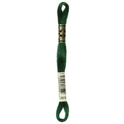Fil mouliné à broder DMC - 8m - 3818 - vert sapin