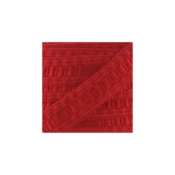Galon Lézarde cache point Rouge Vif