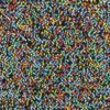 Galon perles - multicolore