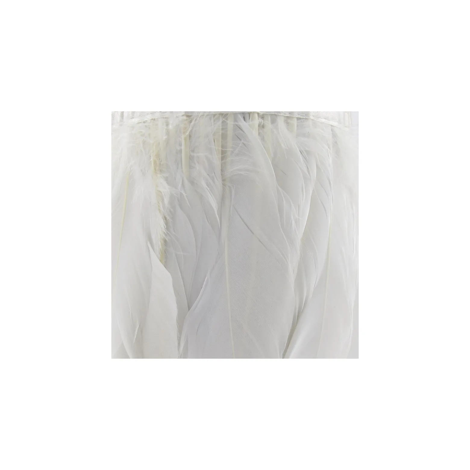 Galon Plumes Blanc 14cm x 20cm