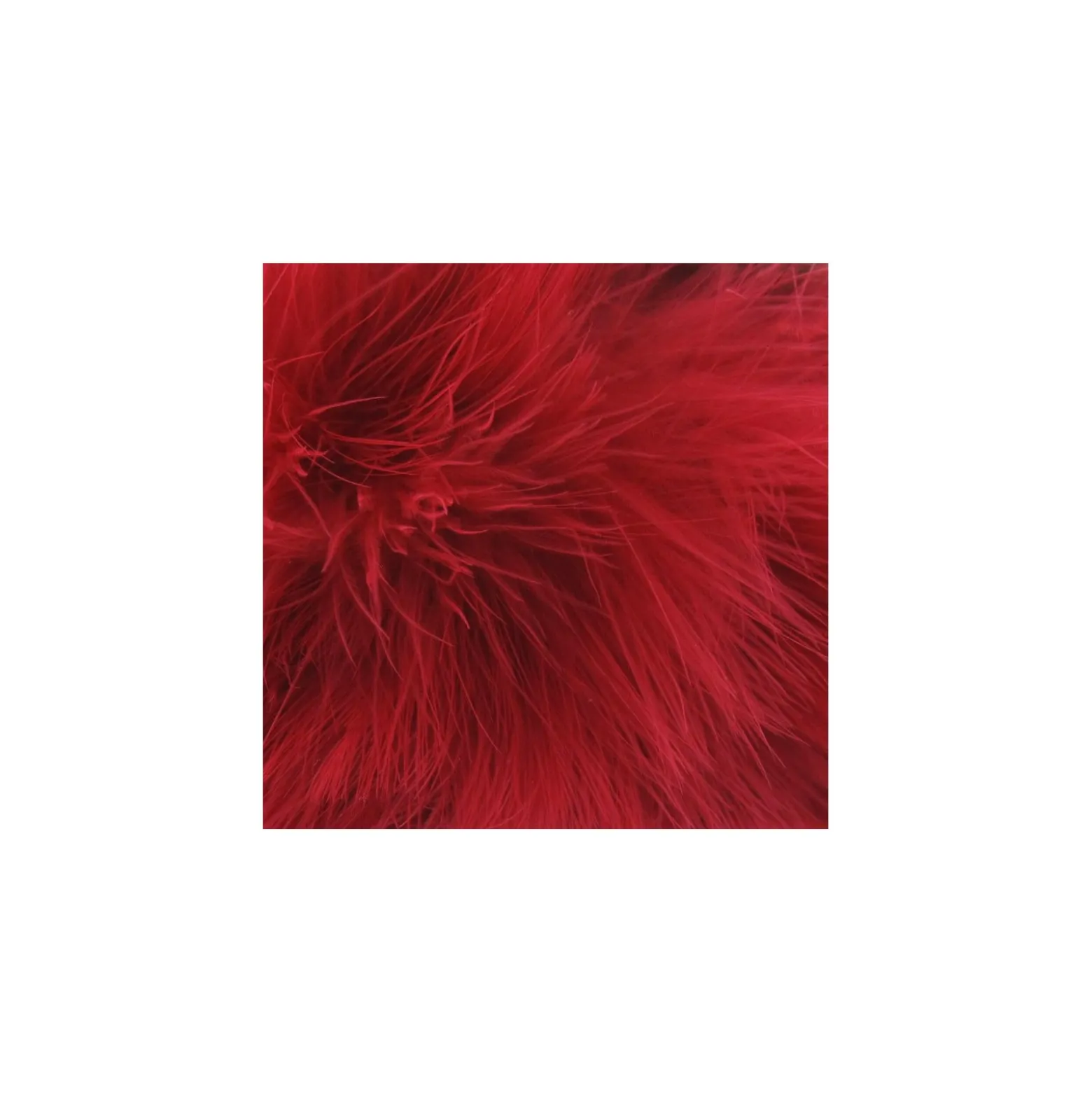 Galon Plumes cheveux d'ange rouge x 30cm