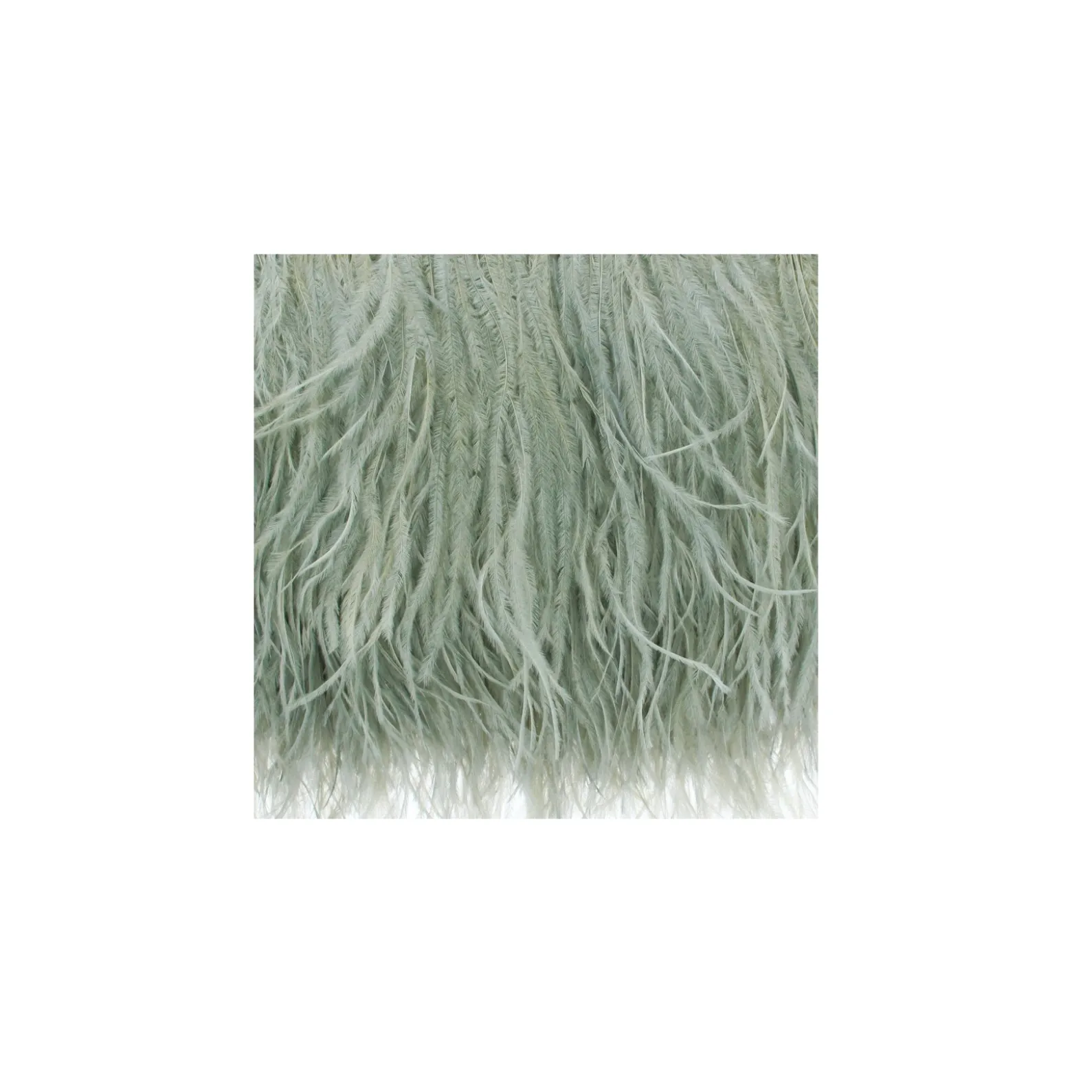 Galon Plumes d'Autruche Rio 14 cm - Pistache x 50cm