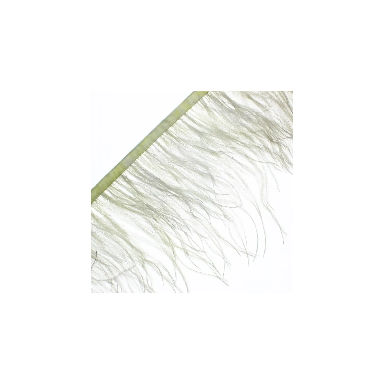 Galon Plumes d'Autruche Rio 14 cm - Pistache x 50cm