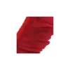 Galon Plumes Rouge14cm x 20cm