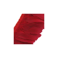 Galon Plumes Rouge14cm x 20cm
