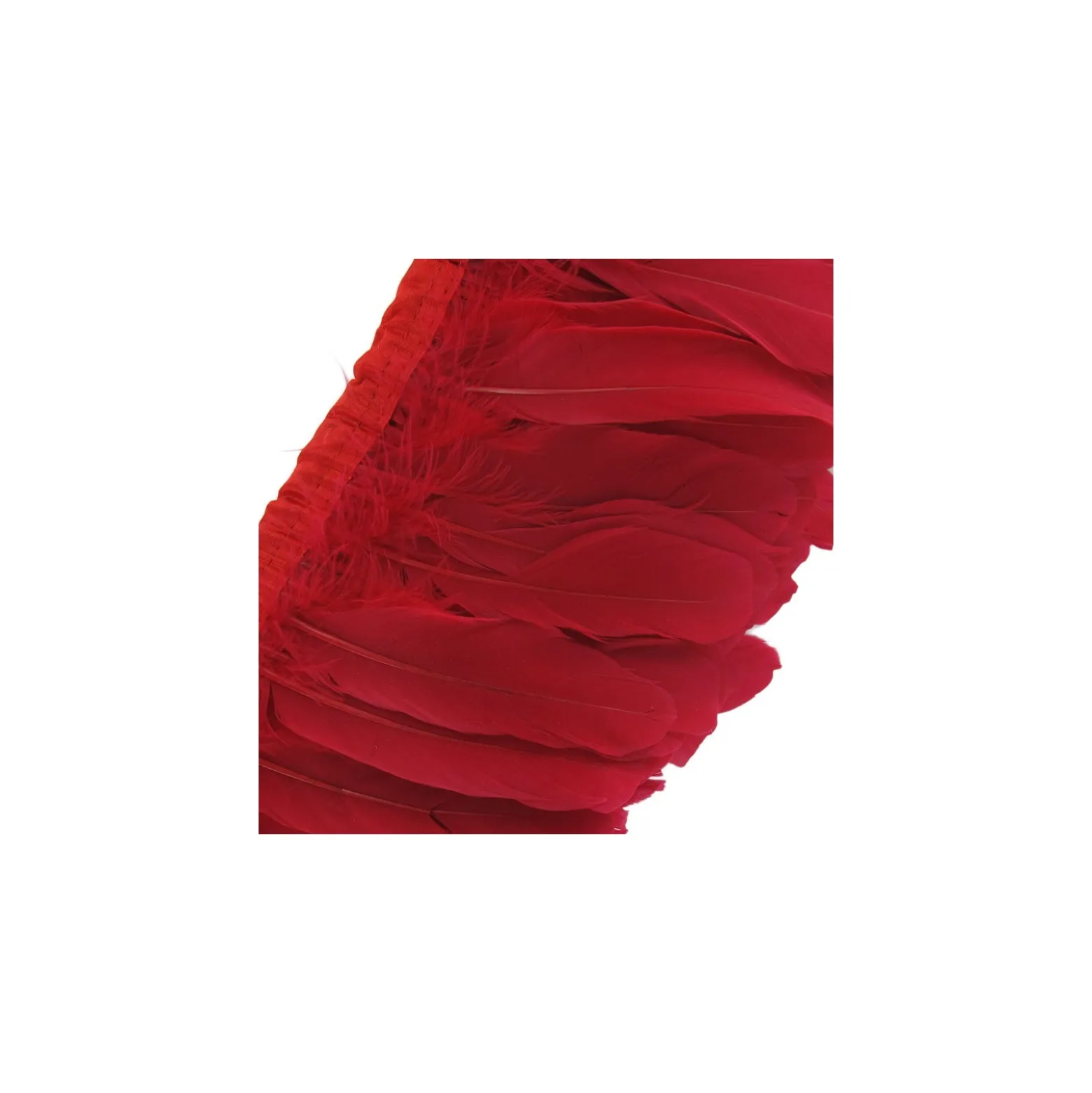 Galon Plumes Rouge14cm x 20cm