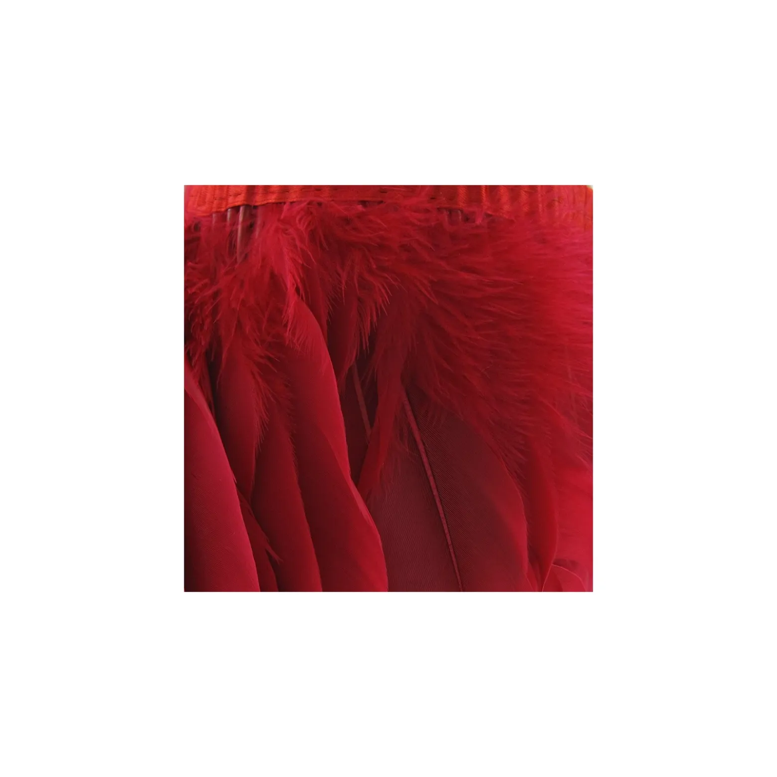 Galon Plumes Rouge14cm x 20cm