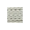 Galon tressé lurex Delicia - écru/argent