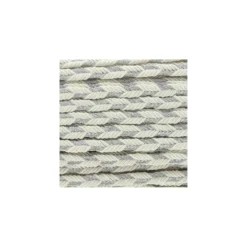 Galon tressé lurex Delicia - écru/argent