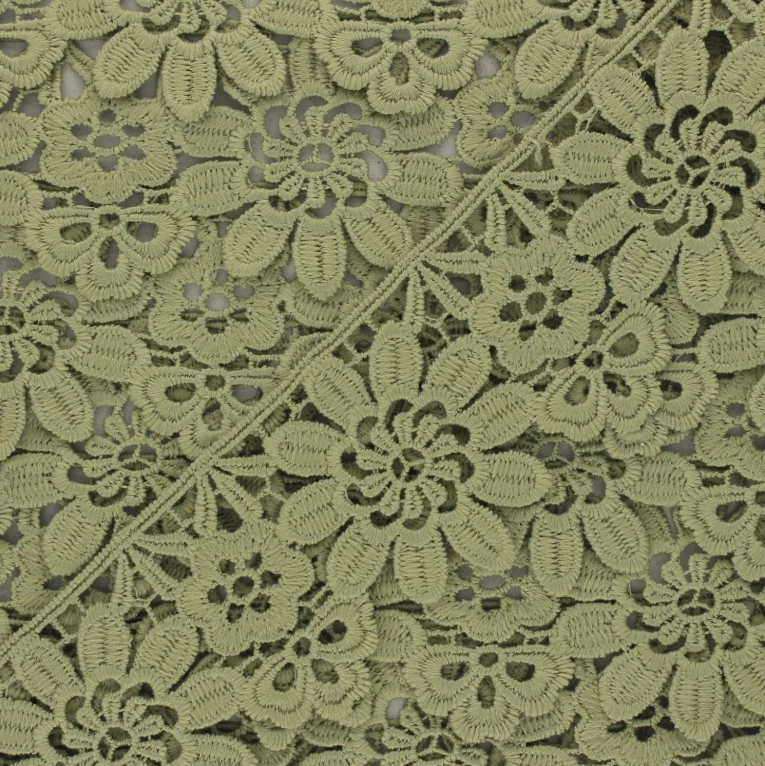 Guipure Fiore 50 mm - vert kaki clair