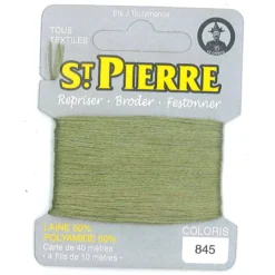 Laine Saint Pierre pour repriser / broder - fougère n°845