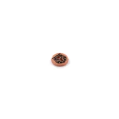 Lot de boutons imprimé Tigre (sachet de 34 boutons) - multi