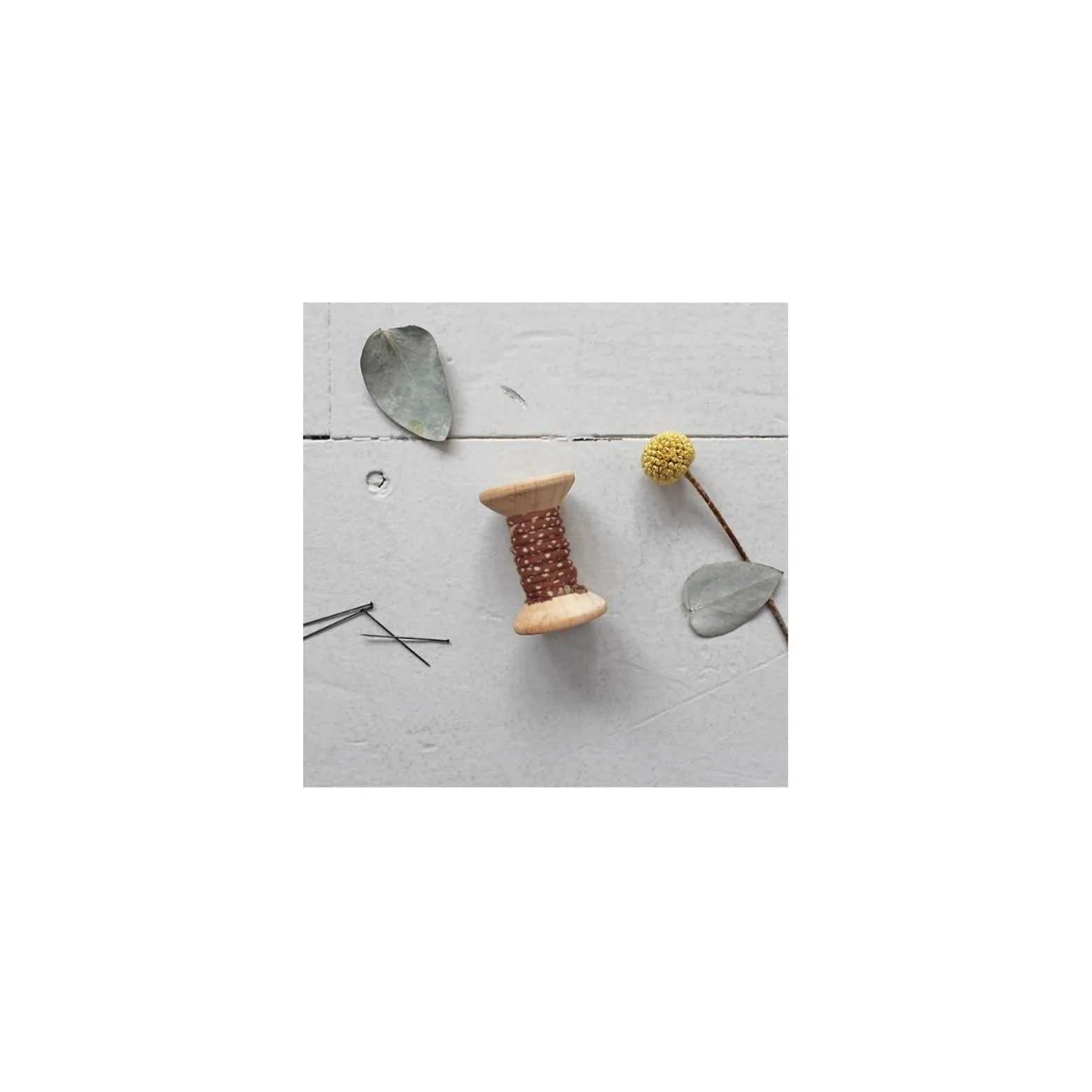 Passepoil Atelier Brunette Dune - Chesnut