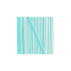 Passepoil bicolore polyester - blanc/turquoise