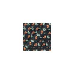 Ruban Birds duo noir