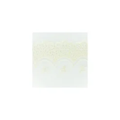 Ruban broderie sur tulle N - écru x 50cm