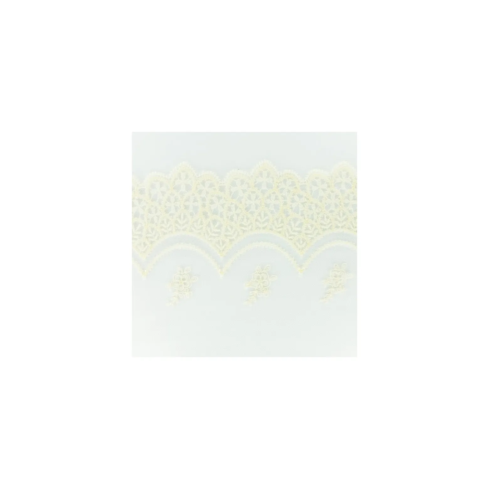 Ruban broderie sur tulle N - écru x 50cm