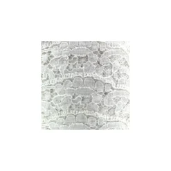 Ruban dentelle Jeanne blanc x 50cm