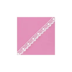 Ruban dentelle Nathanaelle 20 mm - blanc x 50 cm