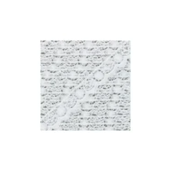 Ruban dentelle Nathanaelle 20 mm - blanc x 50 cm
