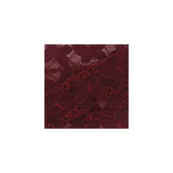 Ruban dentelle papillon élastique carmin